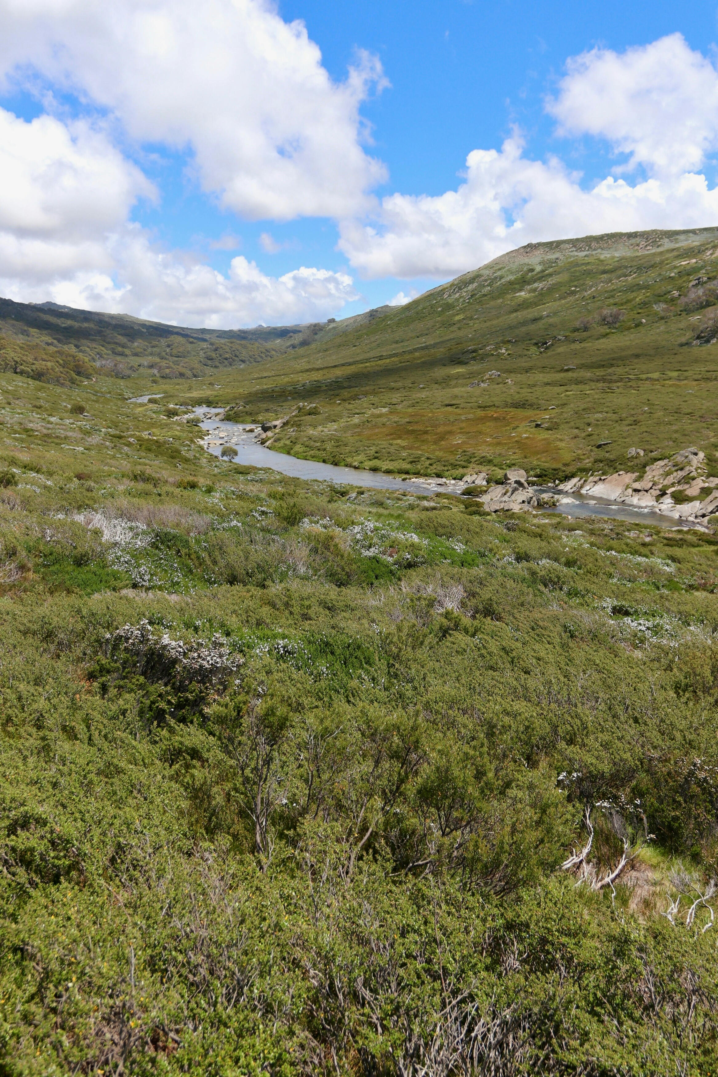 View of the Snowy River winding through the Australian Alps near Charlotte Pass.